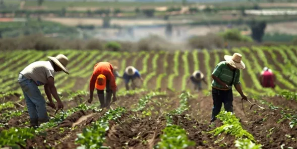 Fundación Bancolombia abre la convocatoria de En-Campo 2026