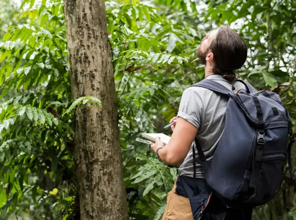 De Tayrona al Amazonas: el auge del turismo sostenible en Colombia
