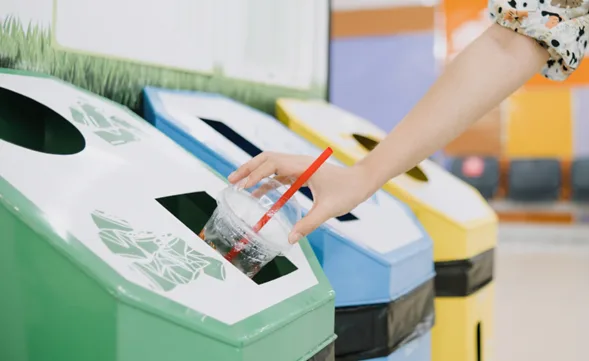Sostenibilidad empresarial: claves para reducir el impacto ambiental