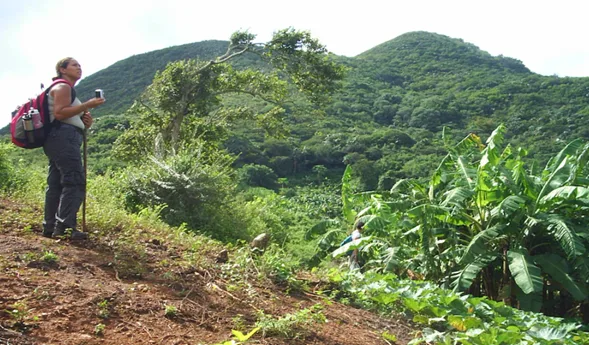 El cóndor, la ganadería y una alerta ambiental que impacta al agro