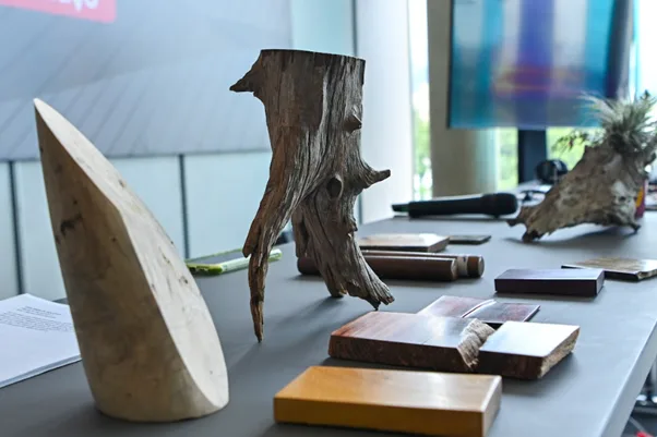 En interzum  Bogotá 2026 la madera se pone a la moda