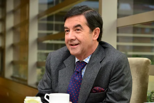 Grupo Germán Morales lanza división de consultoría especializada