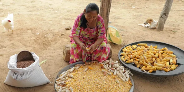 La mujer productiva frente al futuro del país