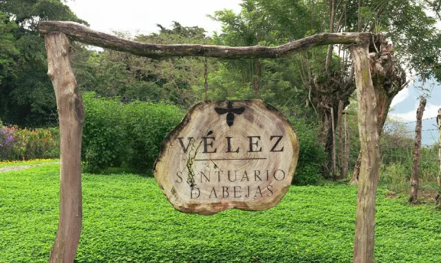 Vélez de la moda a la preservación