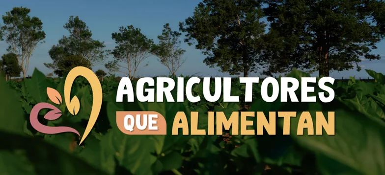 Agricultores que alimentan’: la nueva apuesta de Fenalce en TV Agro
