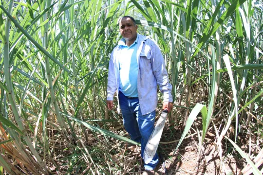 Ministerio de Agricultura tiene disponible más de $14.200 millones para atender al Fenómeno del Niño