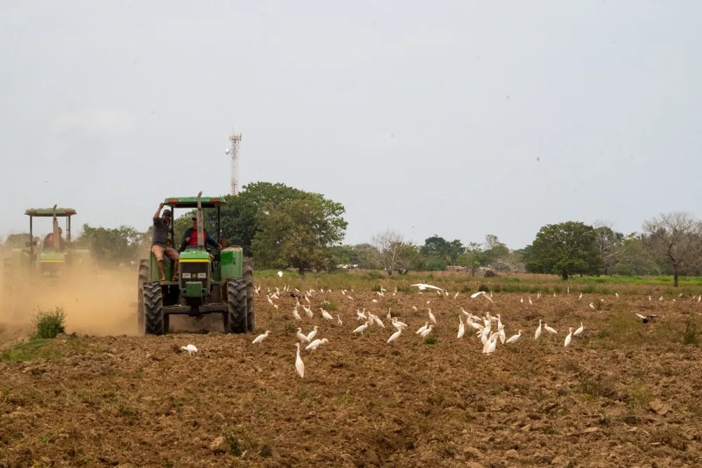 Banco Agrario anuncia plan para mitigar el fenómeno de El Niño