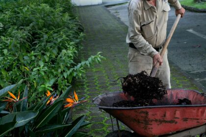 UPB líder en sostenibilidad de Iberoamérica