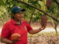 Sistemas alimentarios de pueblos indígenas como una respuesta a la crisis climática y alimentaria