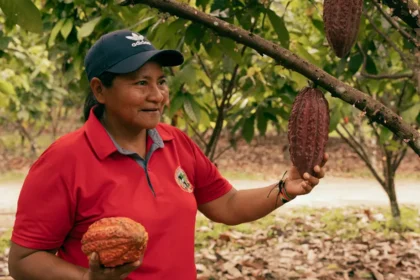 Sistemas alimentarios de pueblos indígenas como una respuesta a la crisis climática y alimentaria