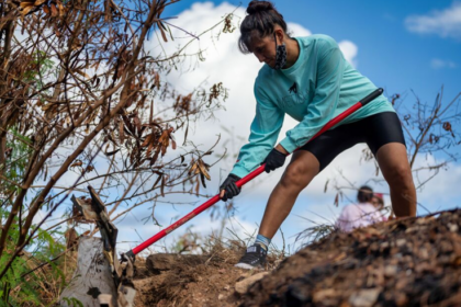 El 87 % de las empresas en Latinoamérica ya apuesta por el voluntariado corporativo