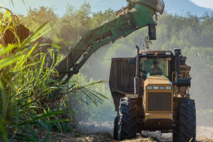Sectores agroexportadores advierten los efectos negativos de la revaluación del peso