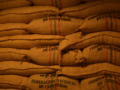 Sector cafetero creció un 19,2% su producción, gracias a la tecnología