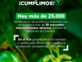 Alianza por la vida: prevención del cáncer de cuello uterino y donación de sangre