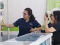 El autocuidado responsable como motor de la sostenibilidad en América Latina