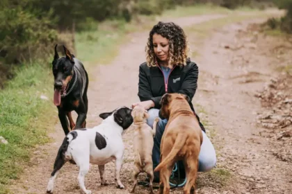 El mercado de mascotas en Colombia gana protagonismo digital