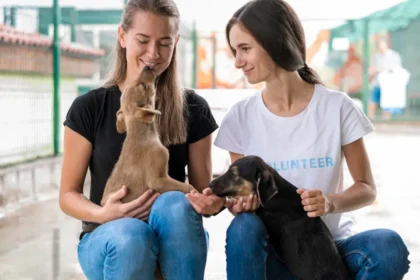 Llega gran jornada de adopción de mascotas en el Centro Comercial Portal de la 80