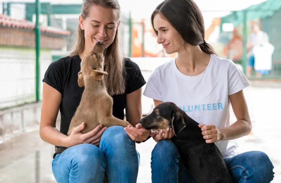 Llega gran jornada de adopción de mascotas en el Centro Comercial Portal de la 80