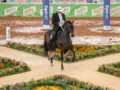  El Caballo Criollo Colombiano en Latinoamérica impulsará una industria de $6 billones desde Antioquia