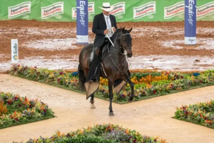  El Caballo Criollo Colombiano en Latinoamérica impulsará una industria de $6 billones desde Antioquia