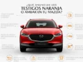 ¿Qué tan urgente es un testigo encendido? Conozca cómo identificarlo