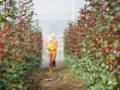 Nueva planta global de fermentación para la protección de cultivos