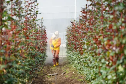 Nueva planta global de fermentación para la protección de cultivos