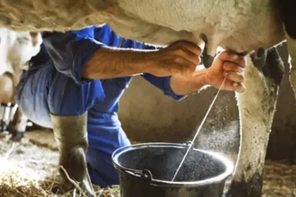  Productores e industria láctea se unen para llevar 30.000 litros de leche a las familias afectadas