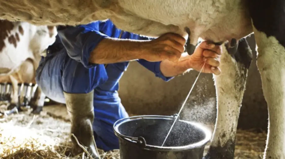  Productores e industria láctea se unen para llevar 30.000 litros de leche a las familias afectadas