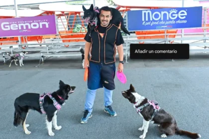 Expopet impulsa el mercado de capacitación para animales, proyectado en 4.932 millones de dólares en 2026