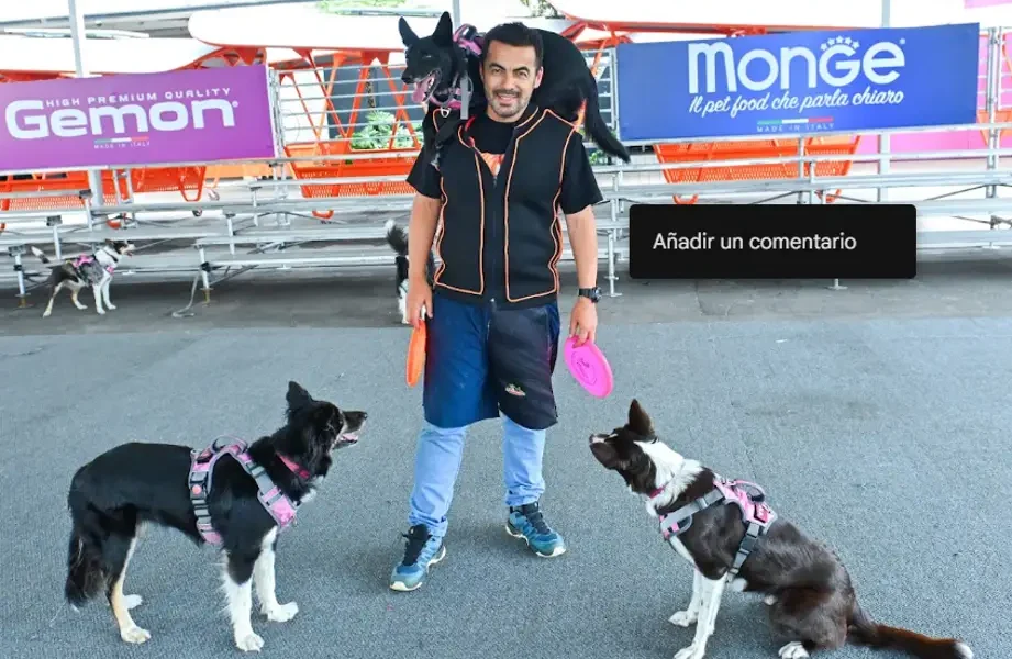 Expopet impulsa el mercado de capacitación para animales, proyectado en 4.932 millones de dólares en 2026