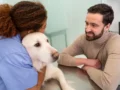 Los beneficios del tratamiento asistido por animales en la rehabilitación del ACV