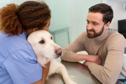 Los beneficios del tratamiento asistido por animales en la rehabilitación del ACV