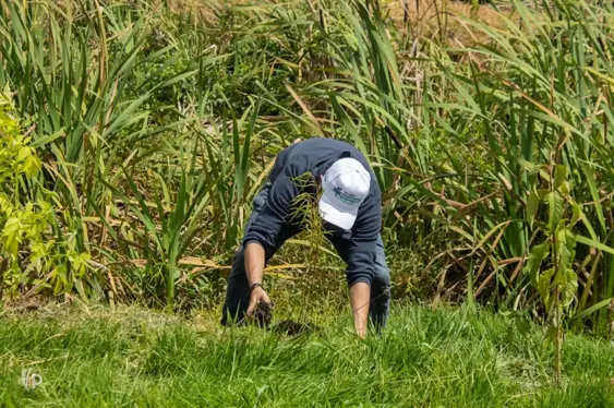 Calor extremo reduce la productividad laboral en Colombia