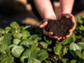 Colsubsidio, entre las 10 organizaciones con mejores prácticas de inversión social y ambiental en Colombia