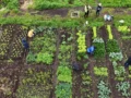 Menos pantallas, más naturaleza: una apuesta por el desarrollo educativo