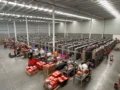 Buscalibre celebra su aniversario fortaleciendo el acceso a la lectura en Latinoamérica