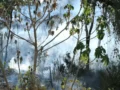 Gobierno activa plan de recuperación del campo tolimense
