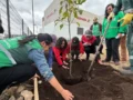 Multiplaza y el Jardín Botánico de Bogotá concretaron una alianza ambiental