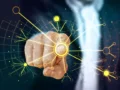 NTT DATA reconocida como Market Shaper