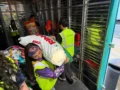 LAIKA pone a disposición 12 toneladas de ayuda  animales afectados por la emergencia 