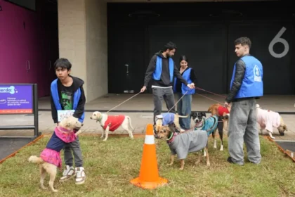 Expertos destacan el papel de los perros en la construcción de nuevas rutinas frente al síndrome del nido vacío