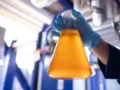 Minerva Ingredients abre el mercado estadounidense con el primer envío directo de sebo bovino