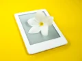 La nueva tendencia de TikTok que está cambiando el negocio de las flores en Colombia