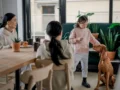 Jornada de adopción de perros y gatos en Bogotá: cuándo, cómo y qué requisitos hay