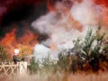 Fenómeno de El Niño: Protección y prevención frente a incendios  forestales