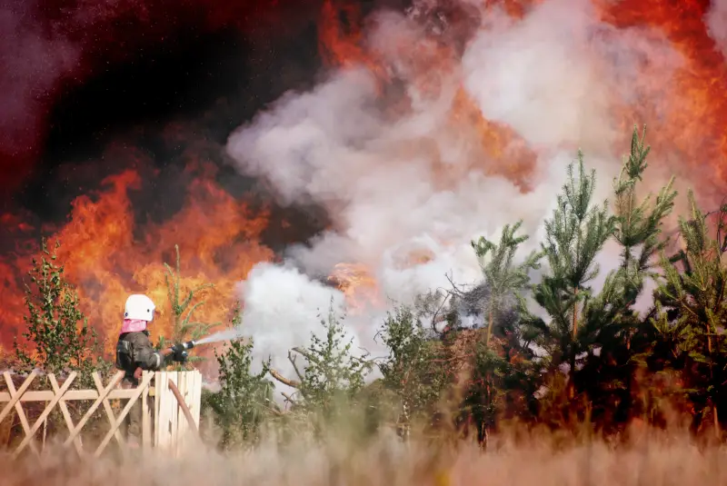 Fenómeno de El Niño: Protección y prevención frente a incendios  forestales