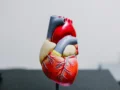 Las personas con diabetes tienen entre 2 y 4 veces más riesgo de sufrir enfermedad cardiaca