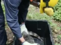 Enel Colombia fortalece protección de la fauna silvestre y habilita línea para reportar riesgos en la red eléctrica