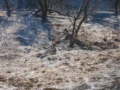 El Niño: amenaza con mayor exposición a riesgos climáticos, sequías y restricciones energéticas